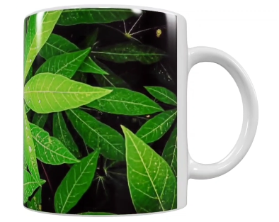 Keramik-Tasse mit Pflanzenmotiv – Grün (330 ml)