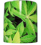 Keramik-Tasse mit Pflanzenmotiv – Grün (330 ml)