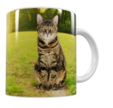 Katzen Keramik-Tasse – Naturmotiv (330 ml)