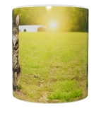 Katzen Keramik-Tasse – Naturmotiv (330 ml)